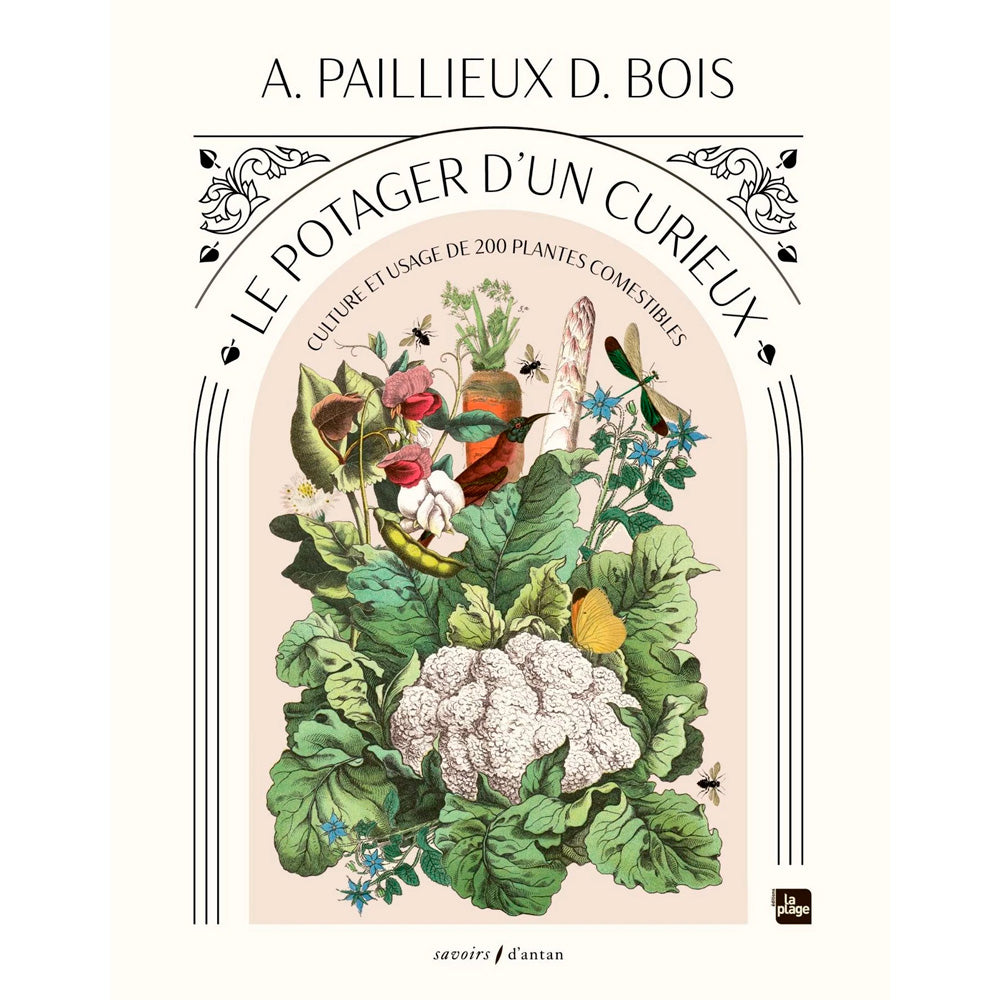 LE POTAGER D'UN CURIEUX 
