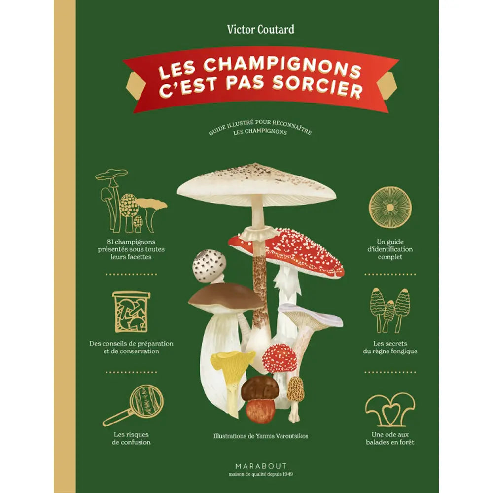LES CHAMPIGNONS C'EST PAS SORCIER 