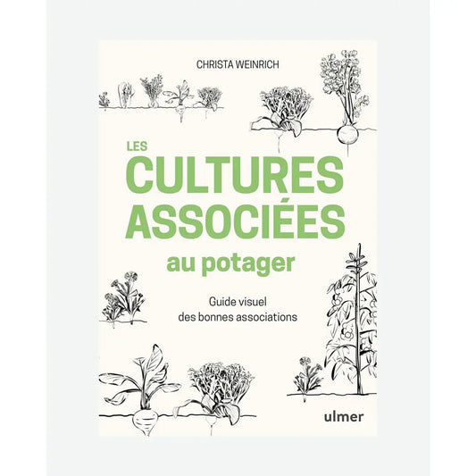 LES CULTURES ASSOCIEES AU POTAGER 