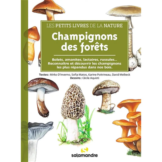 LES PETITS LIVRES DE LA NATURE - CHAMPIGNONS DES FORÊTS 