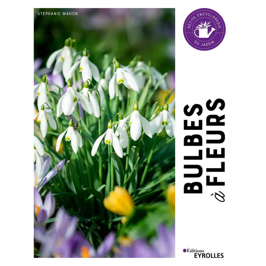 Livre « Bulbes à fleurs » – La Ferme de Sainte Marthe