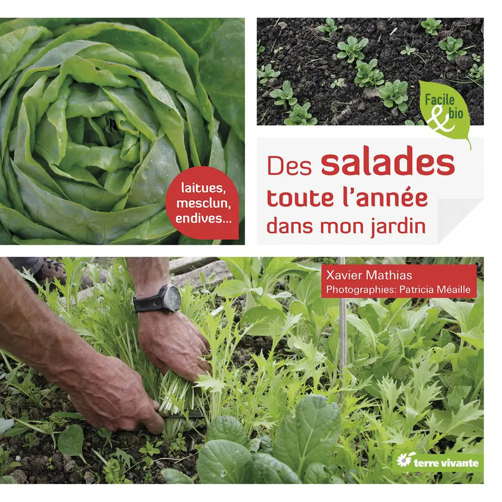 Livre « Des salades toute l'année dans mon jardin » – La Ferme de Sainte Marthe