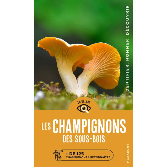 Livre « En balade - les champignons des sous bois » – La Ferme de Sainte Marthe