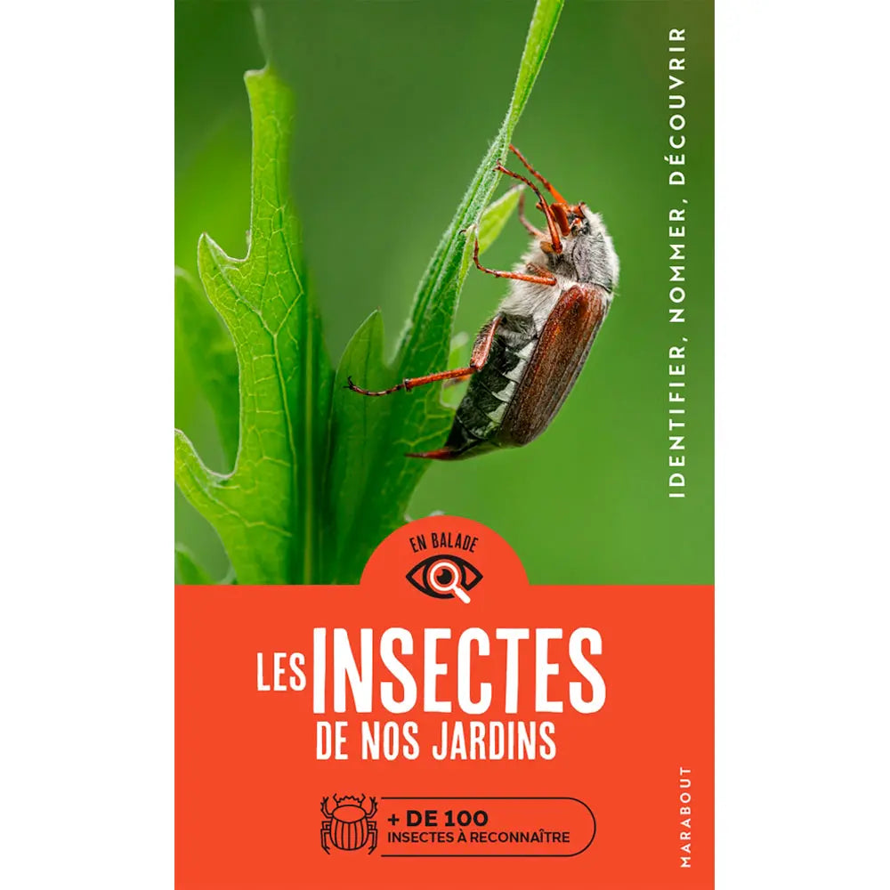 Livre « En balade - les insectes de nos jardins » – La Ferme de Sainte Marthe