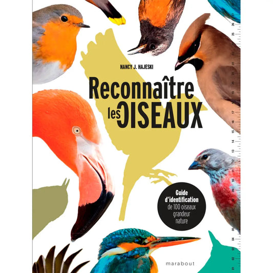 Livre « Reconnaître les oiseaux » – La Ferme de Sainte Marthe