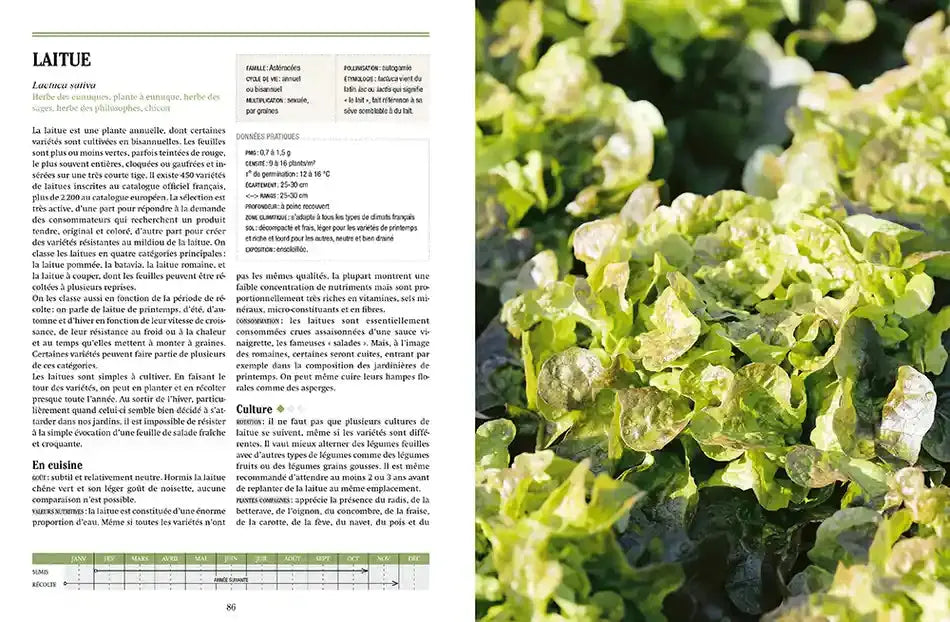 Livre « Tous les légumes, pour une autonomie alimentaire retrouvée » – La Ferme de Sainte Marthe
