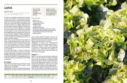 Livre « Tous les légumes, pour une autonomie alimentaire retrouvée » – La Ferme de Sainte Marthe