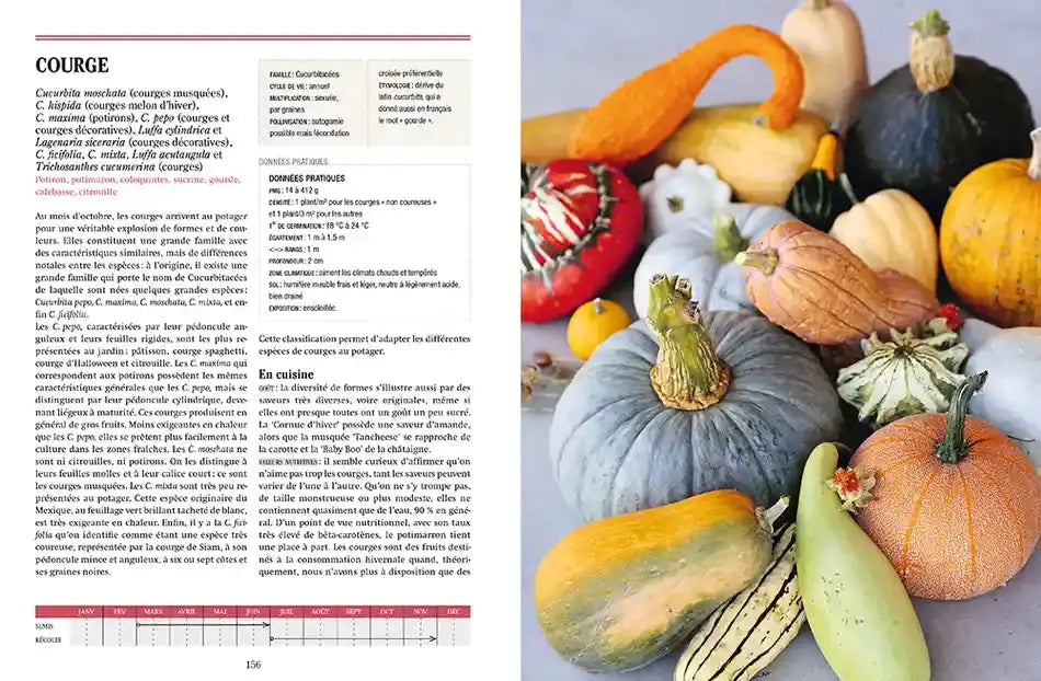 Livre « Tous les légumes, pour une autonomie alimentaire retrouvée » – La Ferme de Sainte Marthe