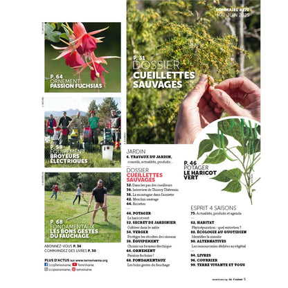 MAGAZINE 4 SAISONS - n272 CUEILLETTE SAUVAGE : Plantes à portée de main 