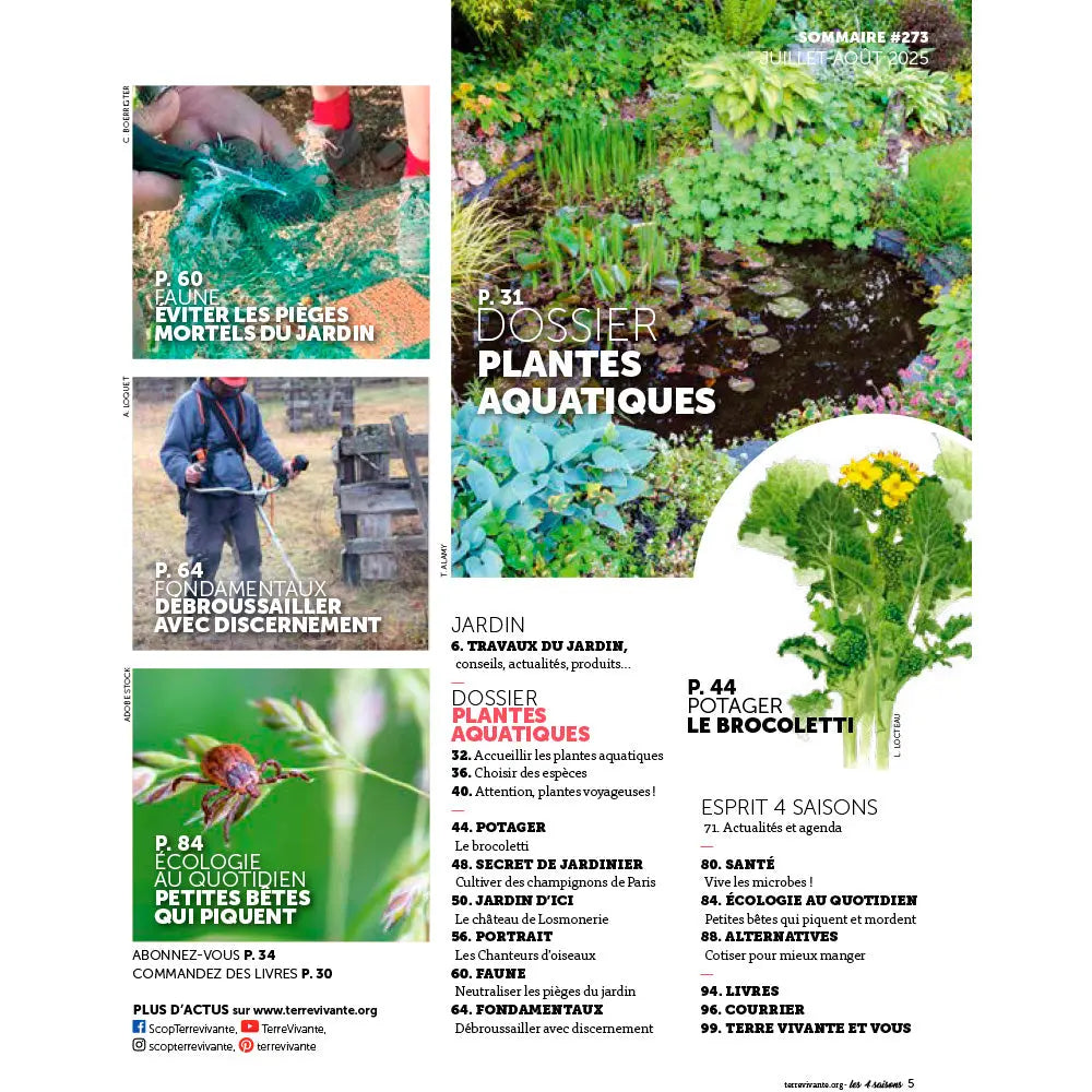 MAGAZINE 4 SAISONS - n273 PLANTES AQUATIQUES