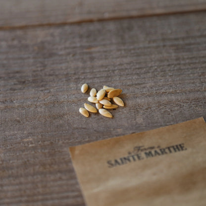 MELON PETIT GRIS DE RENNES AB