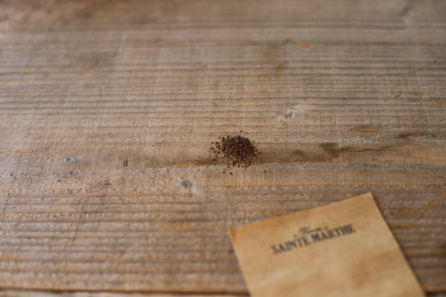 MONARDE BERGAMOTE SAUVAGE NT 