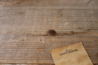 MONARDE BERGAMOTE SAUVAGE NT 