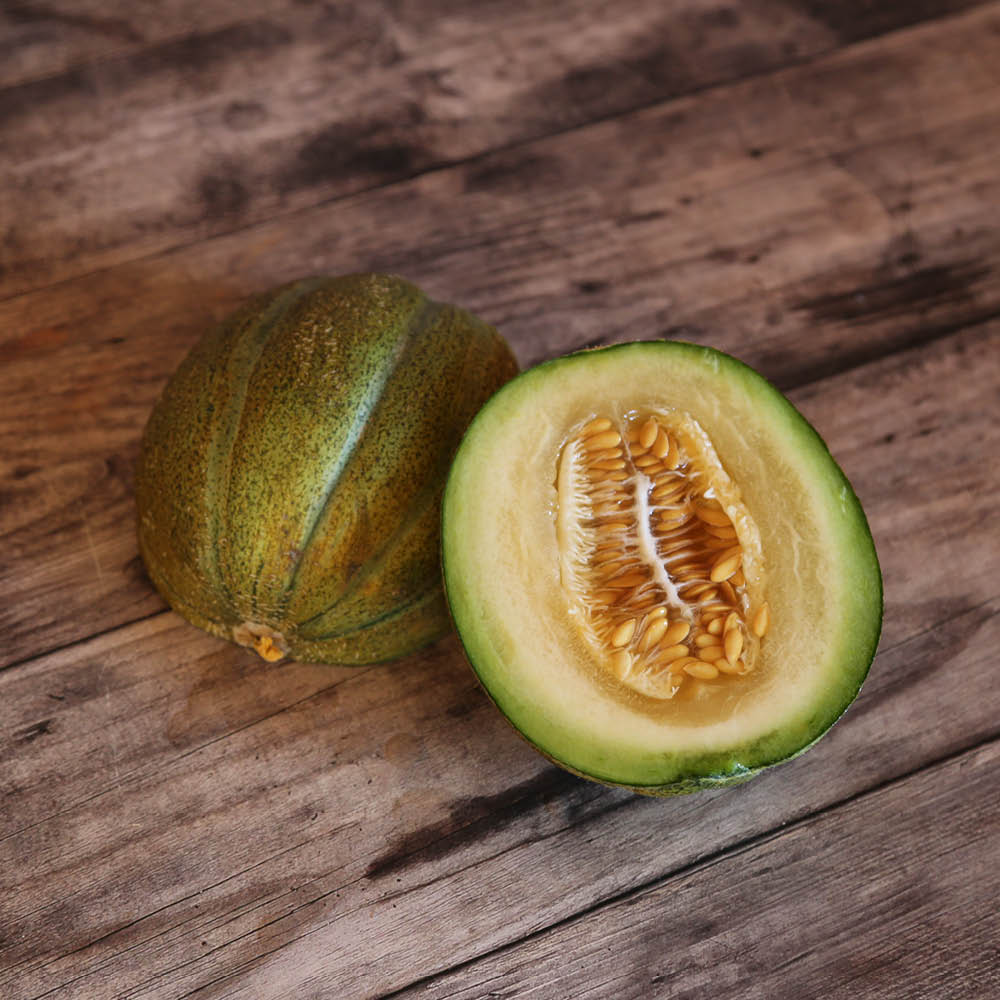 MELON OGEN AB 