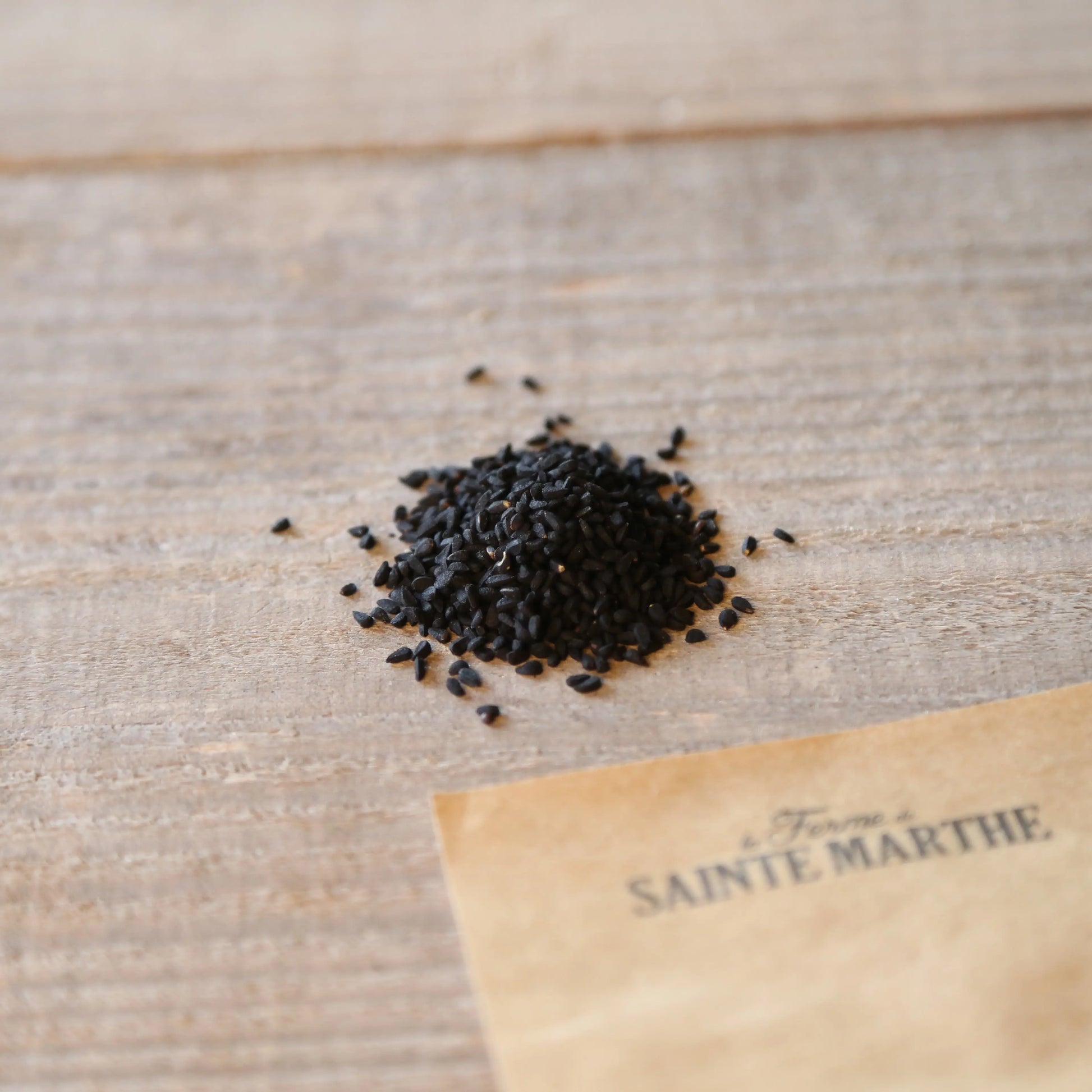 NIGELLE CULTIVEE OU CUMIN NOIR AB 