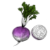 Turnips