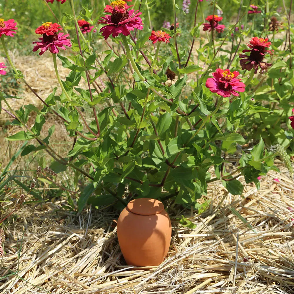 OLLA EN TERRE CUITE 
