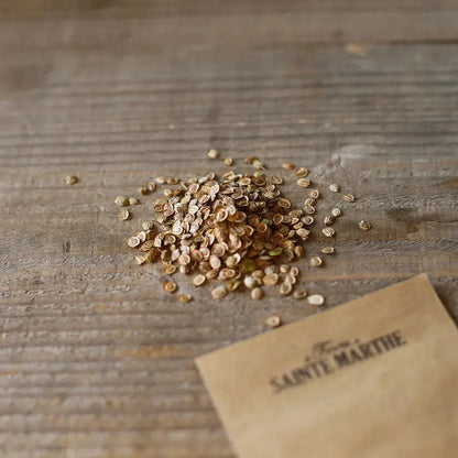 PANAIS TENDER AND TRUE AB