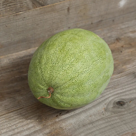 PASTÈQUE ALI BABA AB 