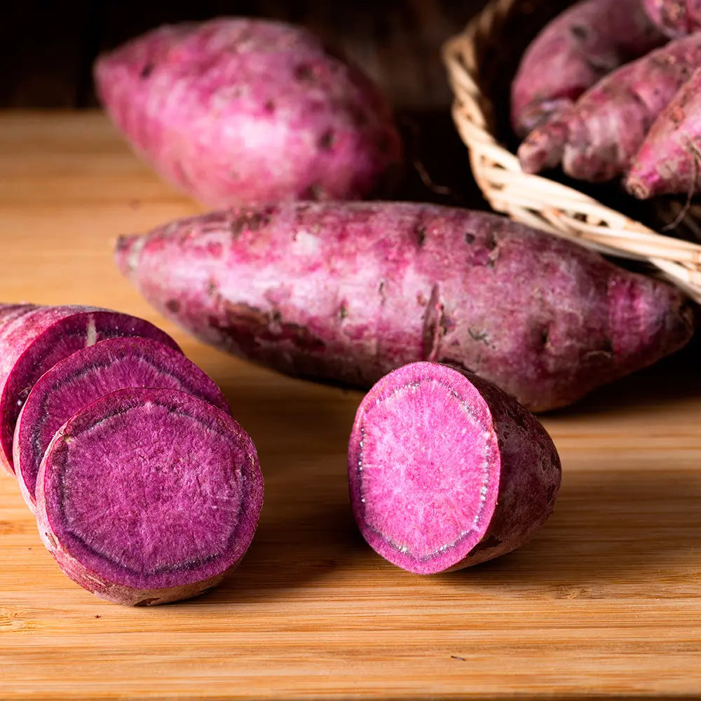 PATATE DOUCE SAKURA - AB - PLANT 