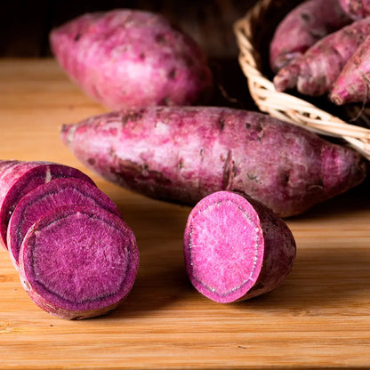 PATATE DOUCE SAKURA - AB - PLANT 