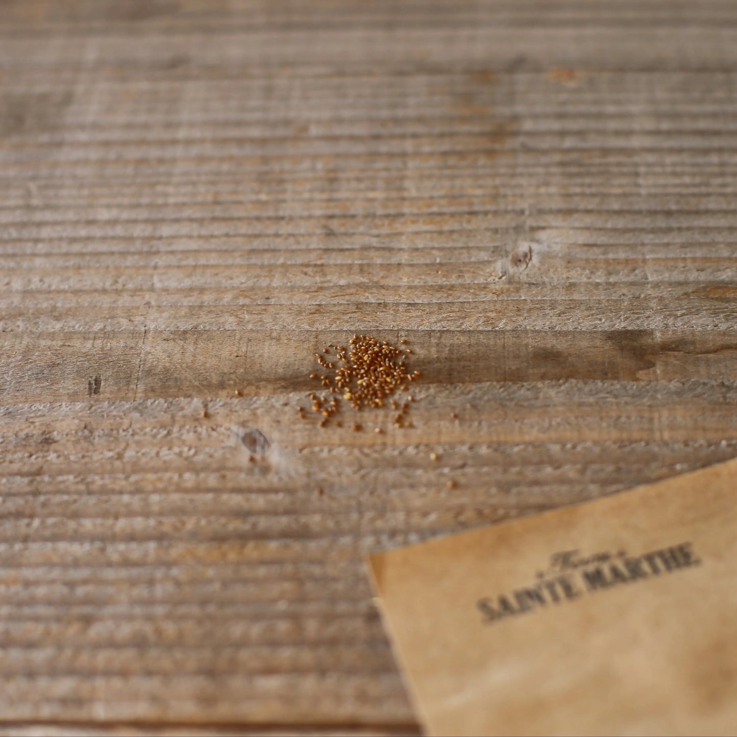 PENSEE DES CHAMPS NT 