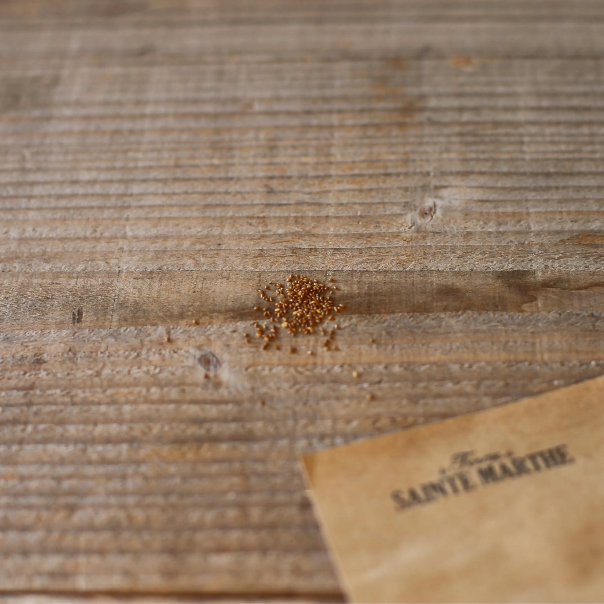 PENSEE DES CHAMPS NT 