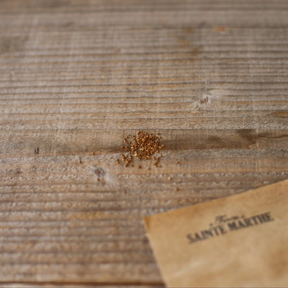 PENSEE DES CHAMPS NT 