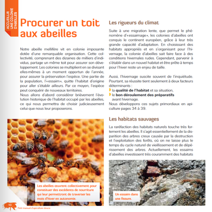 PETIT MANUEL D´APICULTURE DOUCE EN RUCHE WARRE 