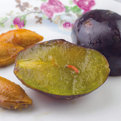 PHEROMONES CONTRE LE VER DE LA PRUNE ET MIRABELLE 