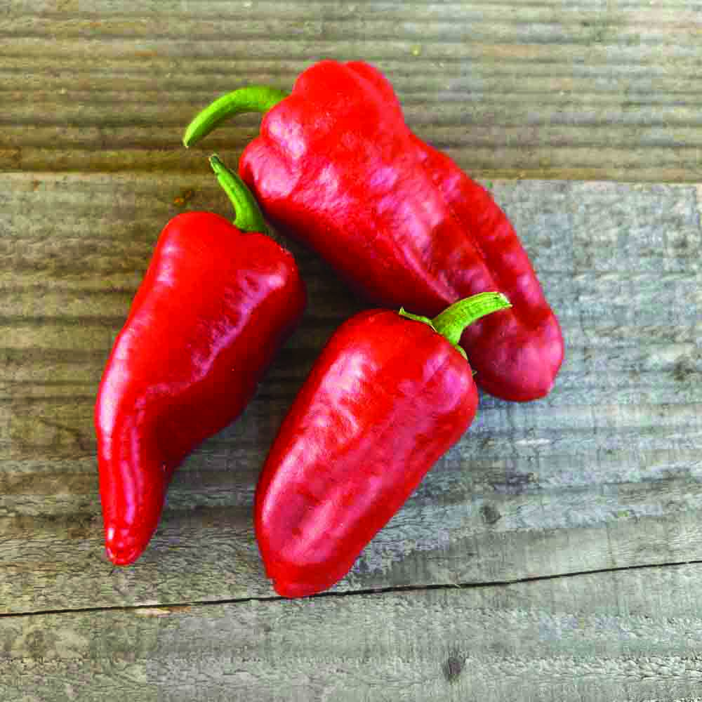 PIMENT PADRON AB 