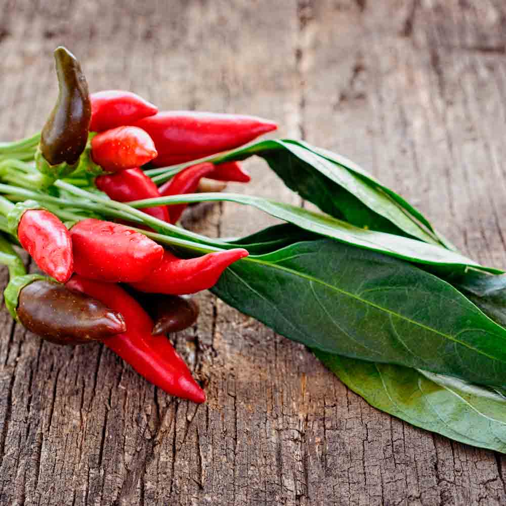 PIMENT TABASCO AB 
