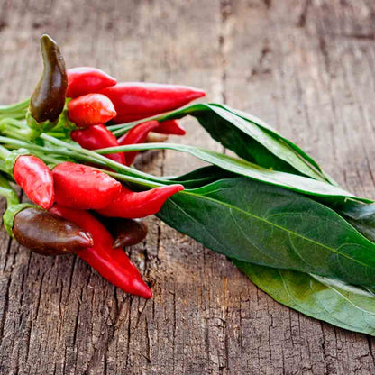 PIMENT TABASCO AB 