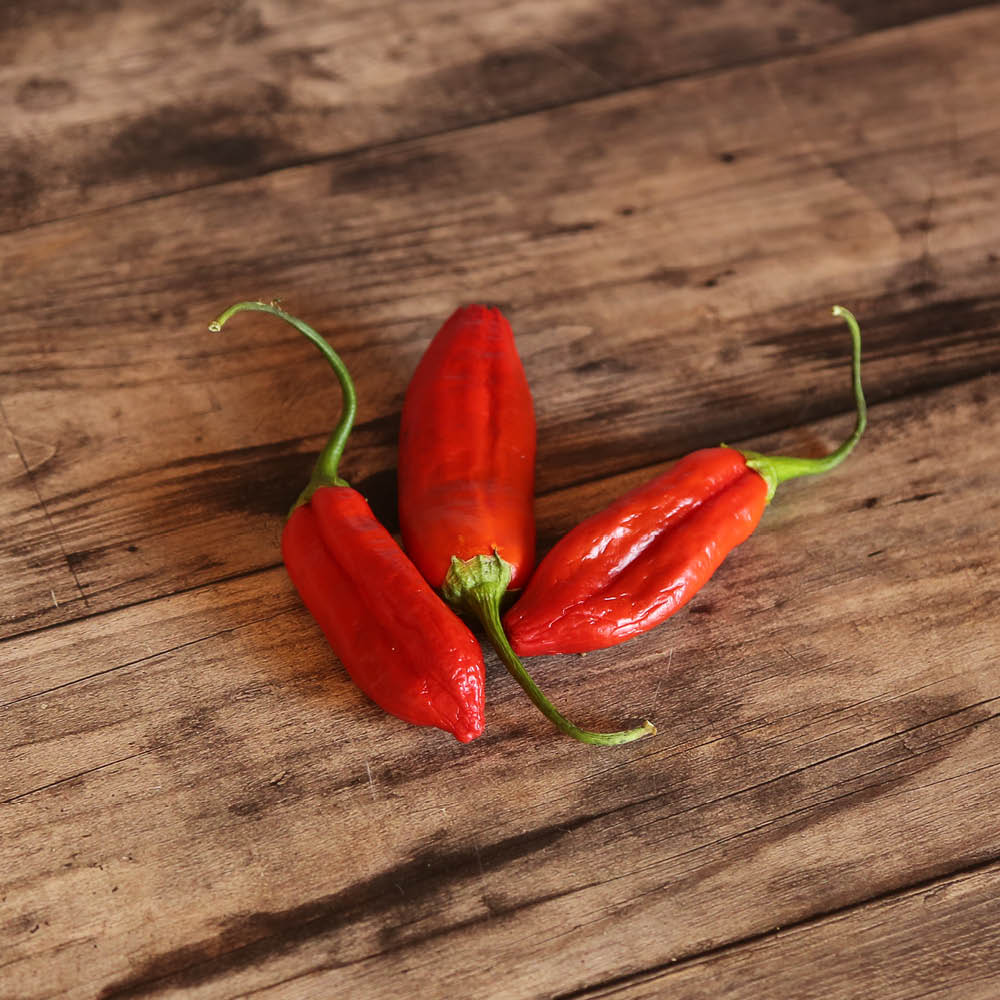 PIMENT DOUX AJI DELIGHT AB 