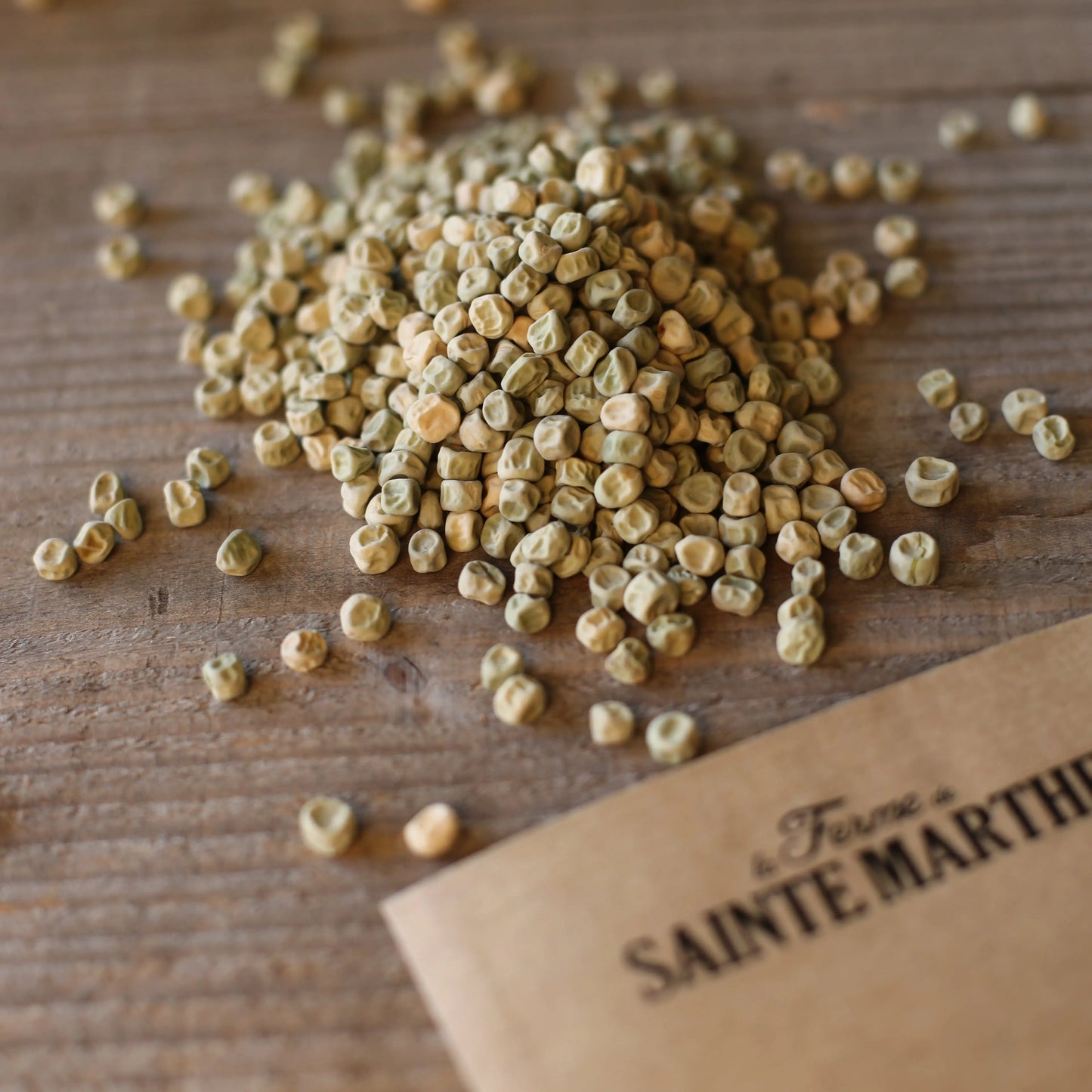 POIS NAIN KARINA GRAIN RIDE A ECOSSER AB 80 g