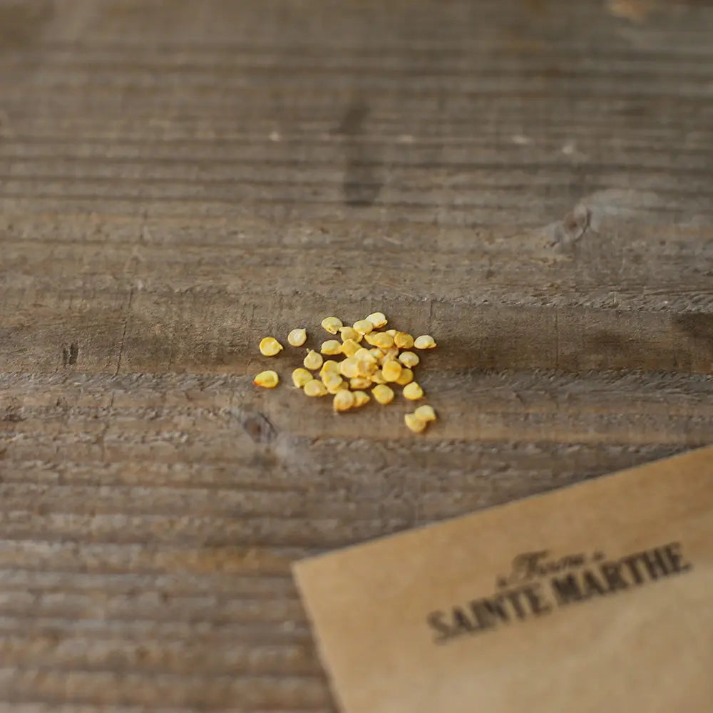 POIVRON CUBANELLE AB