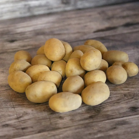 POMME DE TERRE EL MUNDO NT 