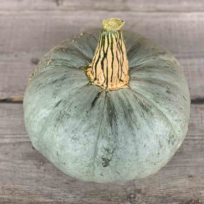 POTIRON BERRETTINA PIACENTINA AB 