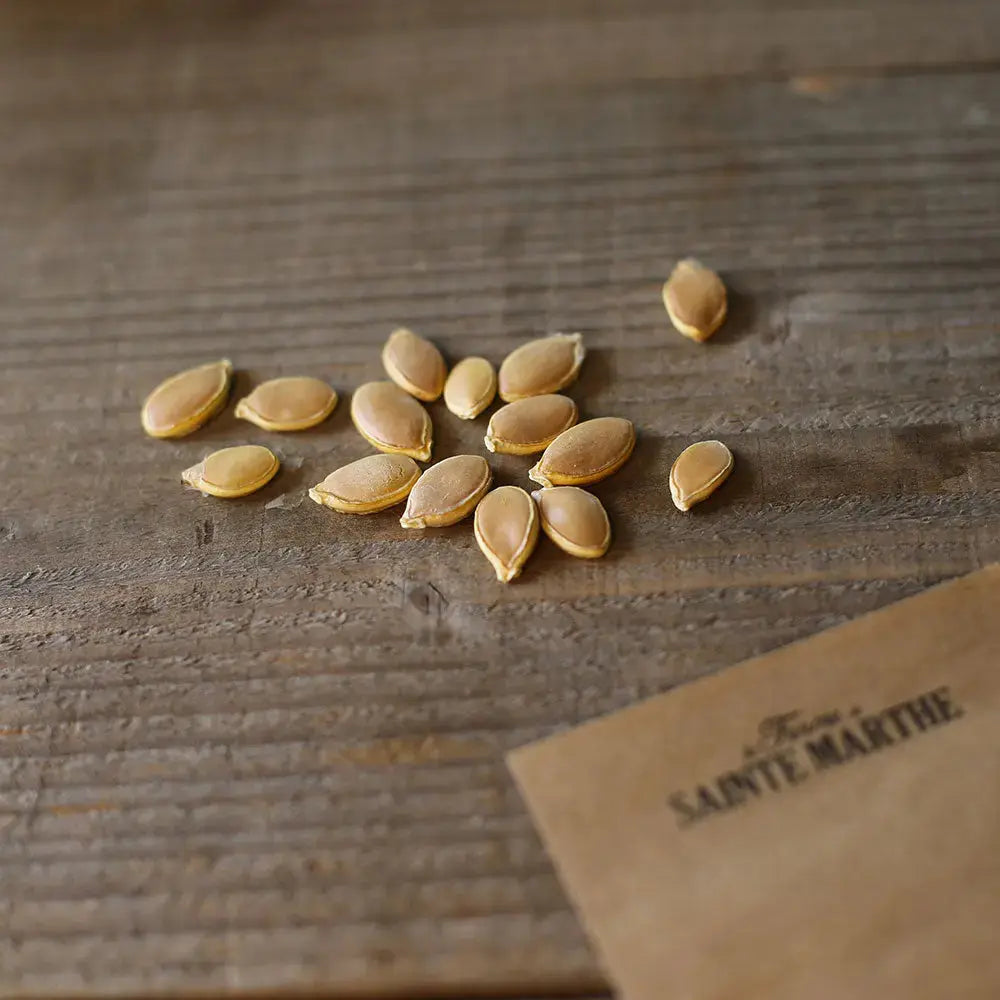 POTIRON BLUE HUBBARD AB