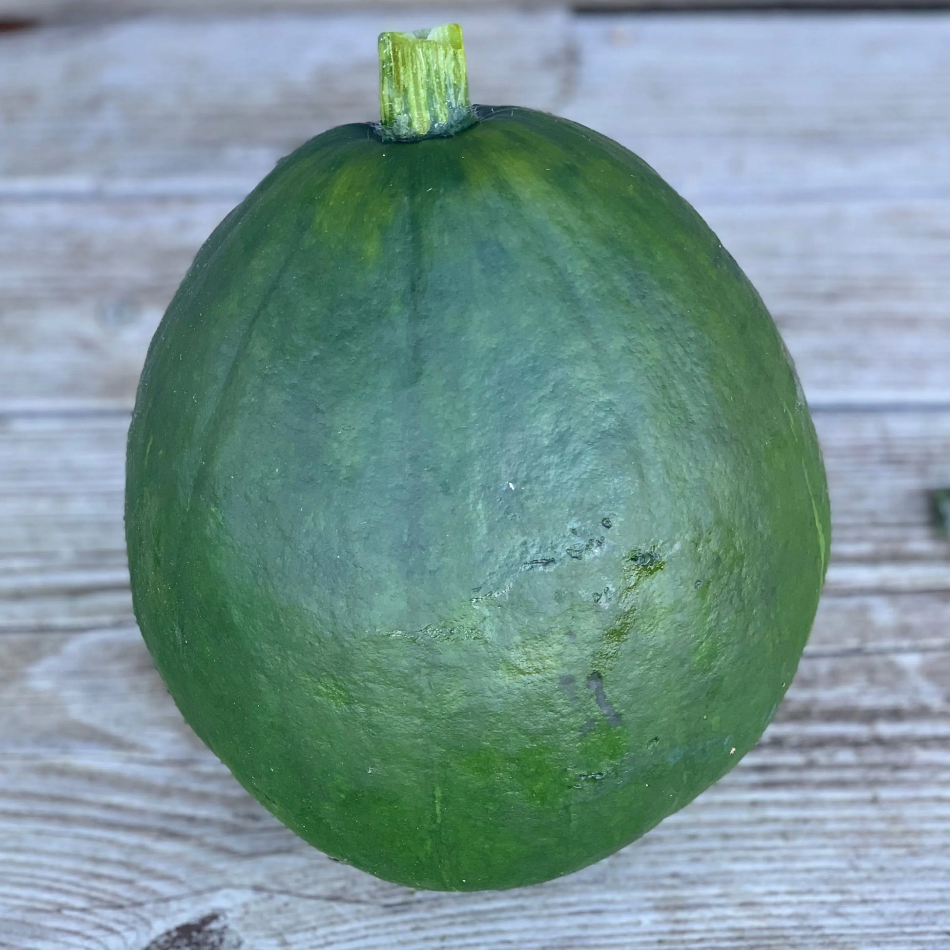 POTIRON COURGE DU PEROU AB 