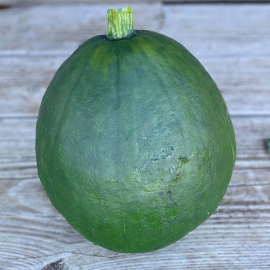 POTIRON COURGE DU PEROU AB 