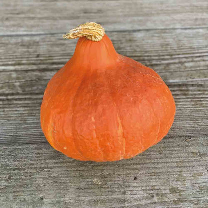 POTIRON POTIMARRON AB 