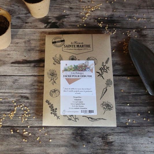 ASSORTIMENT POUR UN POTAGER FACILE POUR DÉBUTER 