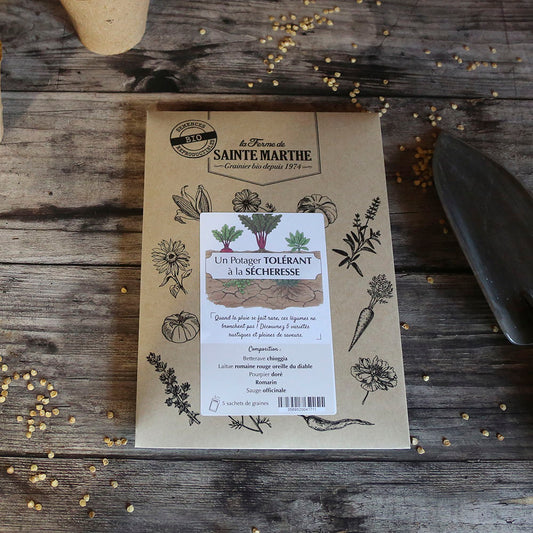 ASSORTIMENT POUR UN POTAGER TOLÉRANT LA SÉCHERESSE 