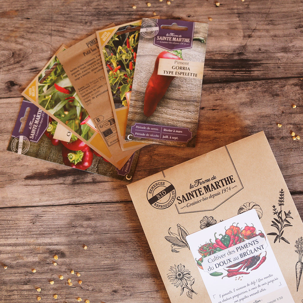 ASSORTIMENT CULTIVER DES LÉGUMES POUR PICKLES ET CONSERVES 