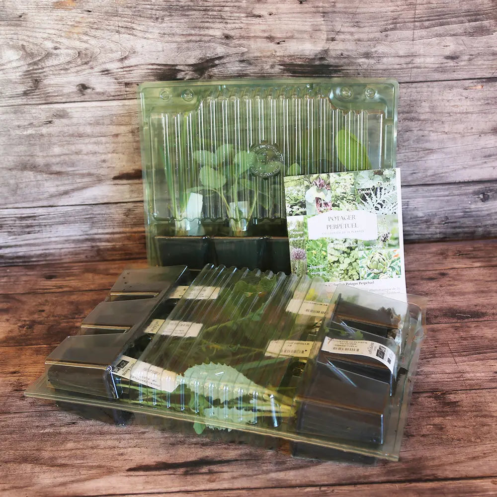 Collection de 9 plants bio – La Ferme de Sainte Marthe