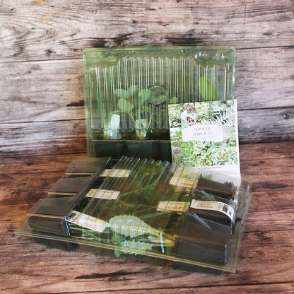 Collection de 9 plants bio – La Ferme de Sainte Marthe