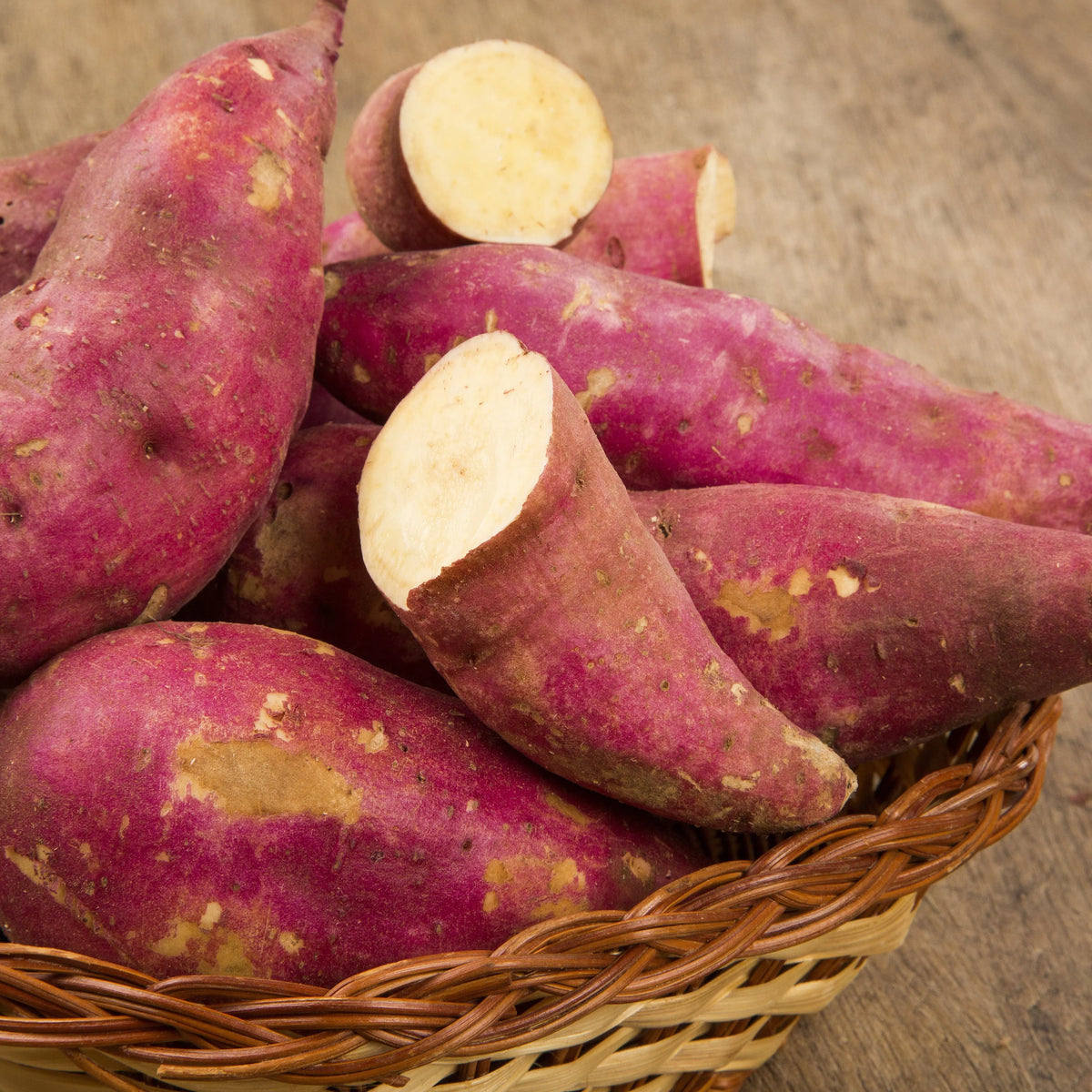 Plant de patate douce chair blanche murasaki 29 bio – La Ferme de Sainte Marthe