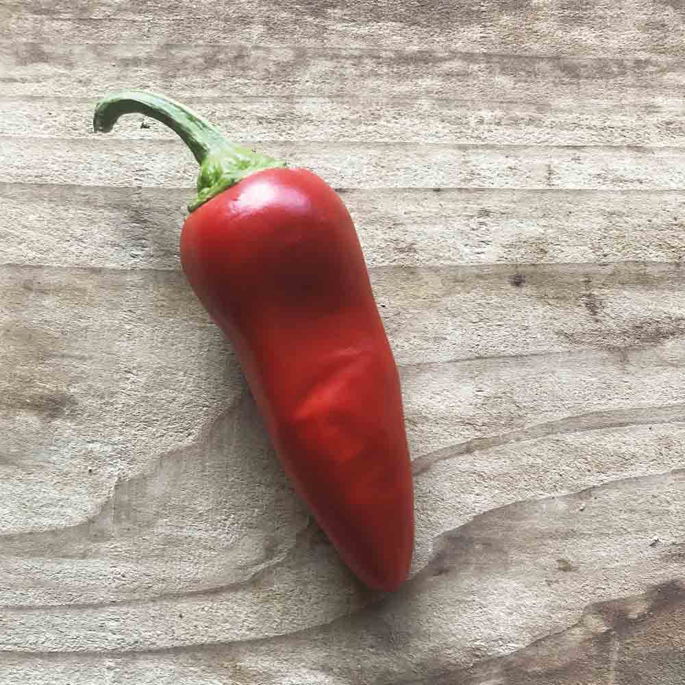 Plant de piment basque gorria bio – La Ferme de Sainte Marthe
