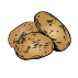 Pommes de terre tardives